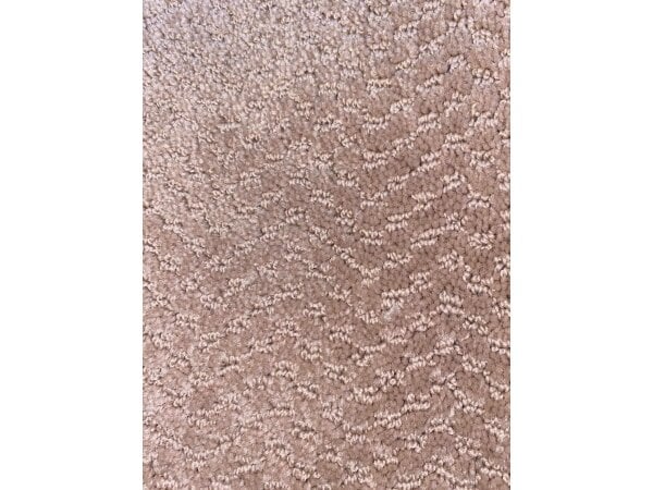 12×5.9 Carpet Remanence #1068 Clearance