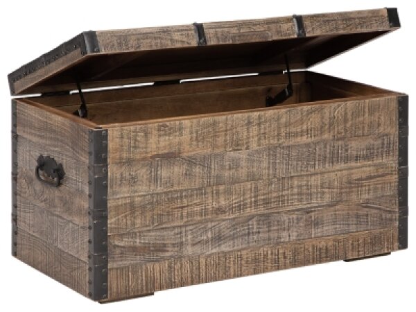 Dartland Storage Trunk - Image 3