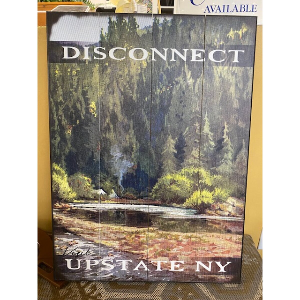 Disconnect Upstate NY Sign 17X23 Wall Decor