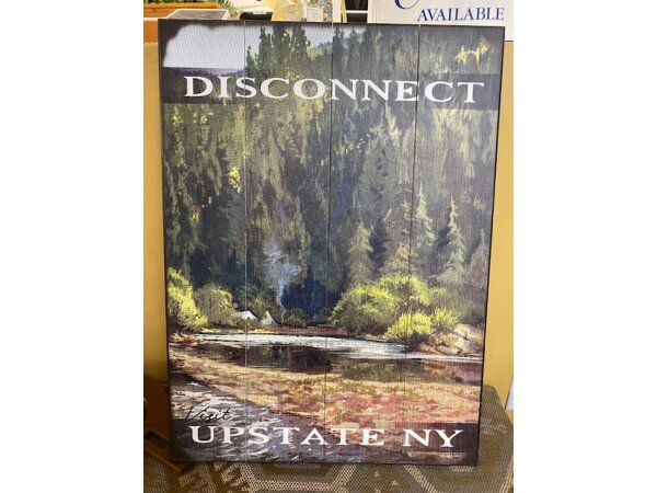 Disconnect Upstate NY Sign 17X23 Wall Decor