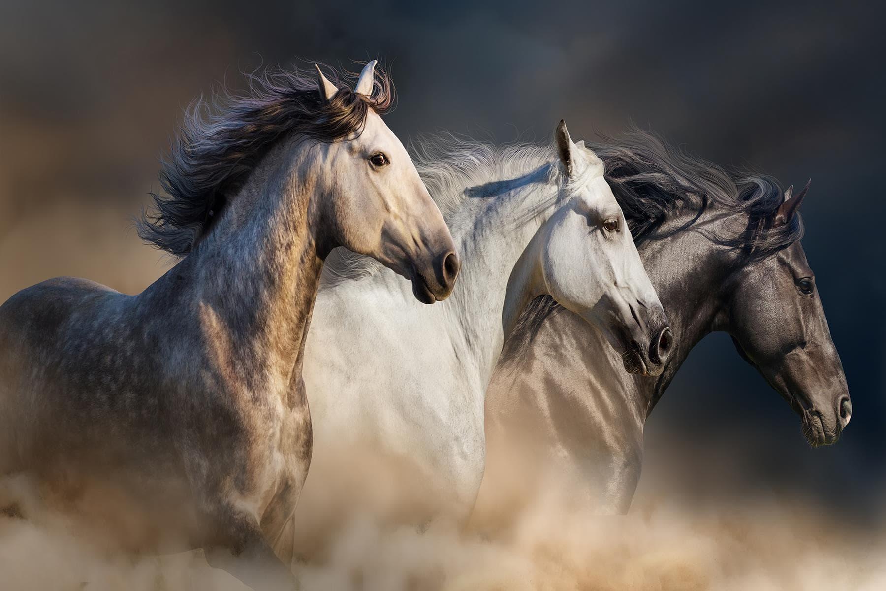Three Horses Glass Art